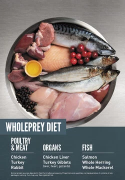 ORIJEN Guardian 8 Free-Run Chicken, Wild-Caught Salmon & Rabbit Dry Cat Food - Image 3