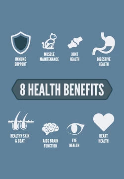 ORIJEN Guardian 8 Free-Run Chicken, Wild-Caught Salmon & Rabbit Dry Cat Food - Image 4