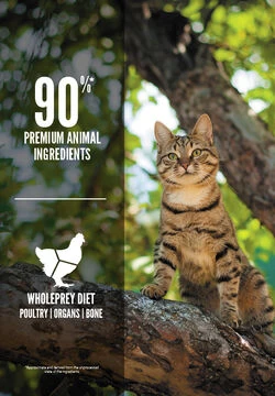 ORIJEN Guardian 8 Free-Run Chicken, Wild-Caught Salmon & Rabbit Dry Cat Food - Image 5