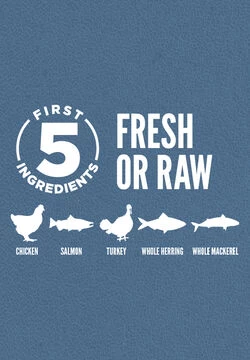 ORIJEN Guardian 8 Free-Run Chicken, Wild-Caught Salmon & Rabbit Dry Cat Food - Image 6