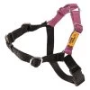 Dolan's Dog Doodads Wonder Walker Body Halter Dog Harness, Rose