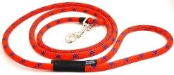Krebs Recycle Reggie Dog Leash, Color Varies