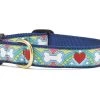 Up Country Dog Collar, Coloring Book