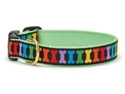 Up Country Dog Collar, Rainbones