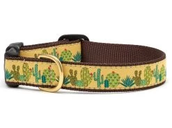 Up Country Dog Collar, Succulents