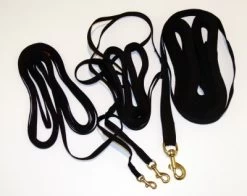 Dolan's Dog Doodads Training Line