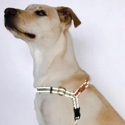 Dolan's Dog Doodads Wonder Walker Body Halter Dog Harness, Flash Reflective Black