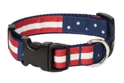 Paw Paws Americana Park Stars Dog Collar