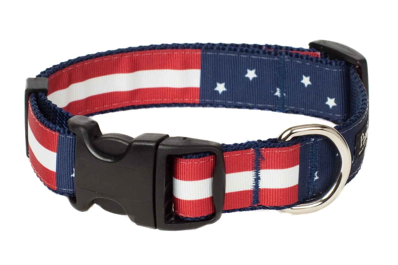 Paw Paws Americana Park Stars Dog Collar