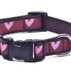 Paw Paws Valentines Hearts Dog Collar