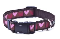 Paw Paws Valentines Hearts Dog Collar
