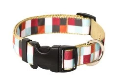 Paw Paws Hula Hoop Block Dog Collar