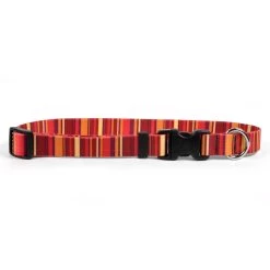 Yellow Dog Design Dog Collar Sunset Stripe