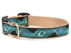 Up Country Dog Collar, Peacock