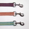 Goli Design Dog Leash Haight Ashberry Blueberry