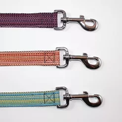 Goli Design Dog Leash Haight Ashberry Blueberry