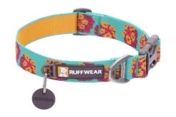 Ruffwear Flat Out Dog Collar, Spring Burst