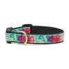 Up Country Dog Collar, Flower Story