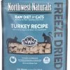 Northwest Naturals Raw Diet Grain-Free Turkey Nibbles Freeze Dried Cat Food, 11-oz (Size: 11z)