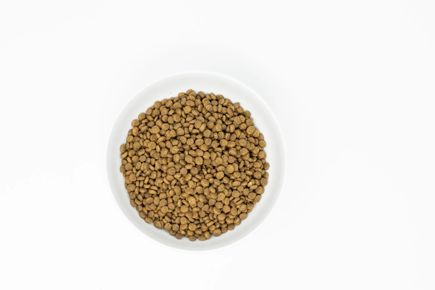 Stella & Chewy's Raw Coated Kibble Cage-Free Chicken Recipe Grain-Free Dry Cat Food - Image 4