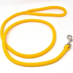 Yellow Dog Design Round Rope Lead Gold (Size: 3/4-inx6-ft)